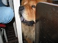 20040516_ 023